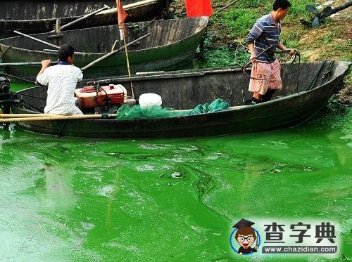 巢湖湖面出現(xiàn)大面積藍(lán)藻 與水體富營養(yǎng)化有關(guān)1