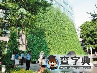 東京一樓種綠植遮陽(yáng) 仿佛巨大“綠窗簾”1