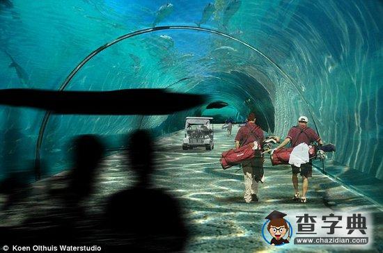 馬爾代夫投資3.2億英鎊建造漂浮高爾夫球場1