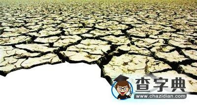 研究稱干旱致全球農(nóng)作物欠收說法證據(jù)不足1