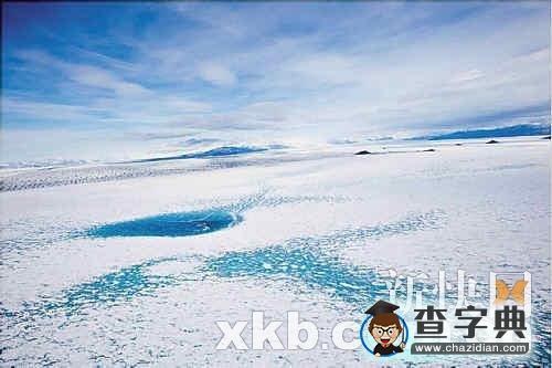 南極海冰持續(xù)融化斷裂 企鵝命運(yùn)進(jìn)入倒計時1