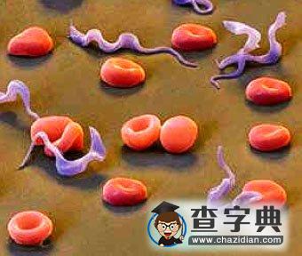 研究稱(chēng)氣候變暖或?qū)е禄杷∠蚰喜糠侵蘼?