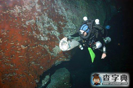 深海藍(lán)洞發(fā)現(xiàn)奇特生物  暗示木衛(wèi)二或存生命1