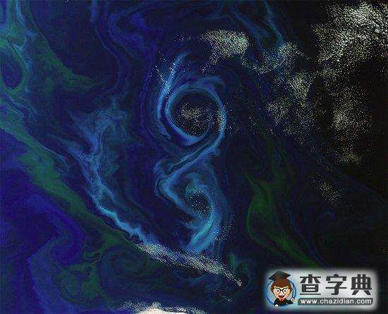 南美洲海面出現(xiàn)壯觀“8”字狀美麗海藻群(圖)1