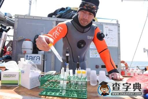 日本火山島海水中或存在拯救珊瑚礁秘方2