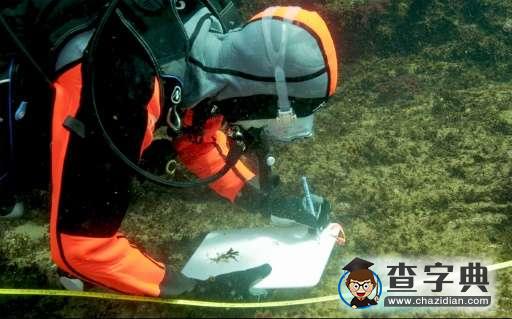 日本火山島海水中或存在拯救珊瑚礁秘方1