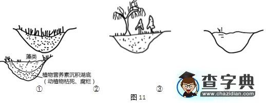 2017年高中地理會考題及答案10