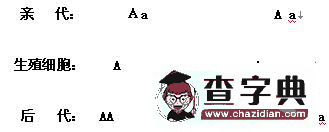 2018年初二生物地理會考資料3