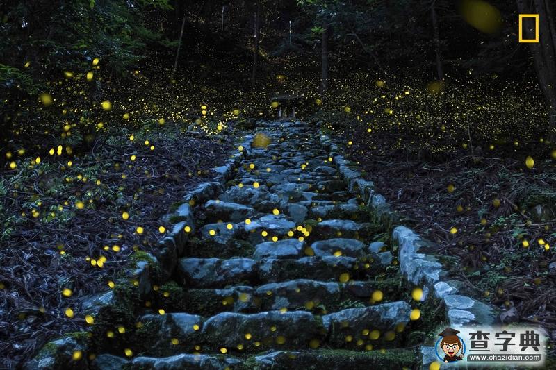 國(guó)家地理旅行者攝影大賽展世界奇景:閃電擊中噴發(fā)火山2