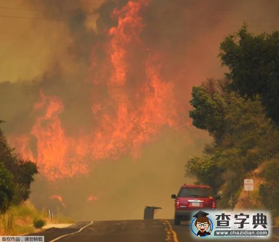 罕見熱浪來襲！洛杉磯現(xiàn)最大山火?舊金山高溫破紀(jì)錄1