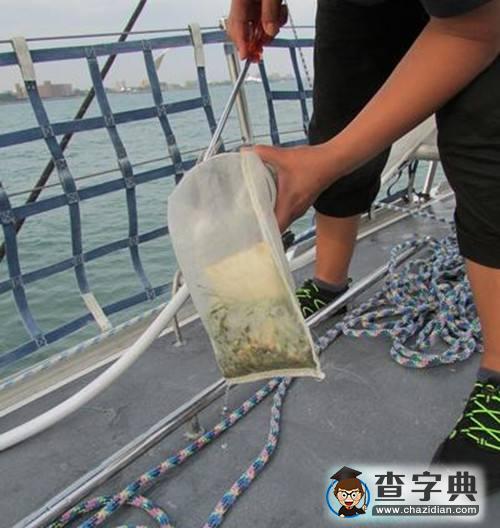 調(diào)查稱微塑料污染無處不在:飲用水里或含有塑料1