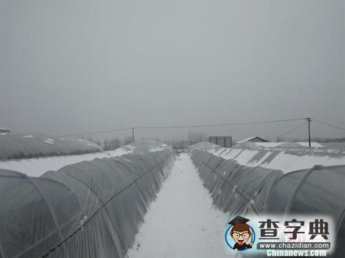 北半球多國遭極端天氣 惡劣天氣頻發(fā)是否有關(guān)聯(lián)？2
