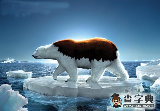 拯救極地冰川的“荒謬終極方案”：建高墻阻擋暖海水1