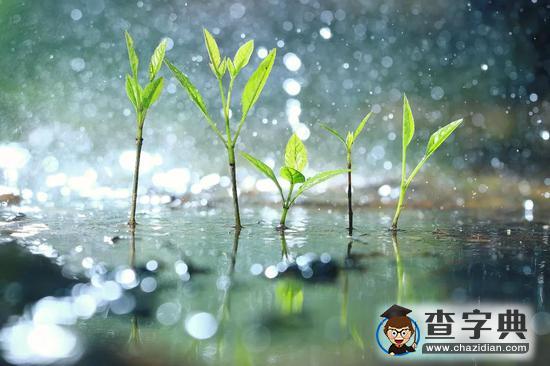 春天最后一個(gè)節(jié)氣！谷雨節(jié)氣有哪些講究你都知道嗎？4