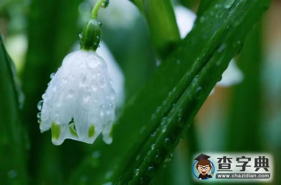 春天最后一個(gè)節(jié)氣！谷雨節(jié)氣有哪些講究你都知道嗎？1