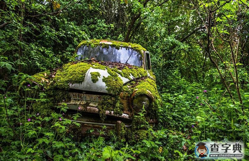 被遺忘的風(fēng)景線：世界各地廢棄物悄然融入自然8