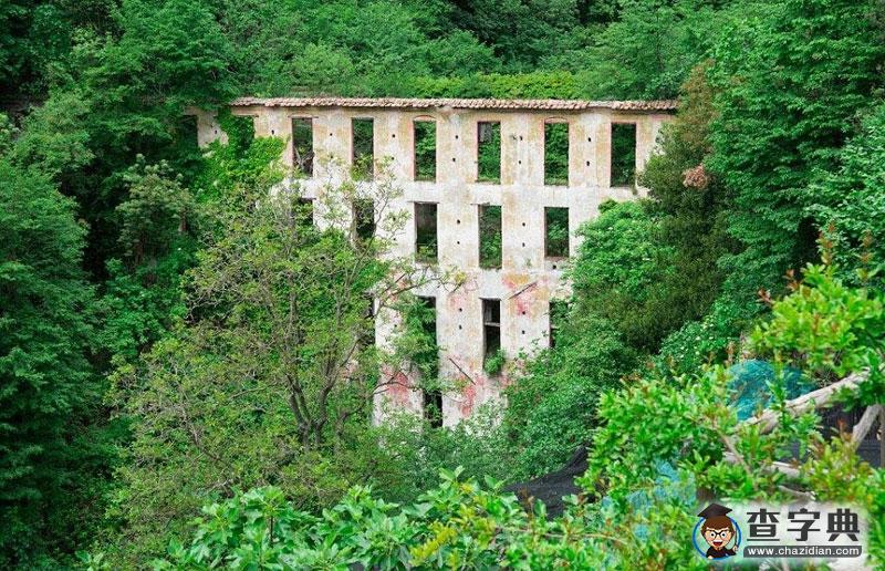 被遺忘的風(fēng)景線：世界各地廢棄物悄然融入自然12