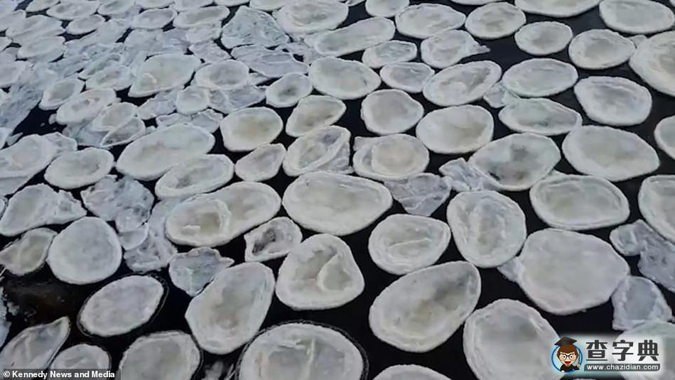 罕見！蘇格蘭河流上出現(xiàn)大量奇特“冰煎餅”鋪滿河面3