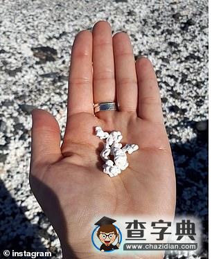 奇觀！西班牙加那利群島一海灘沙礫似爆米花4