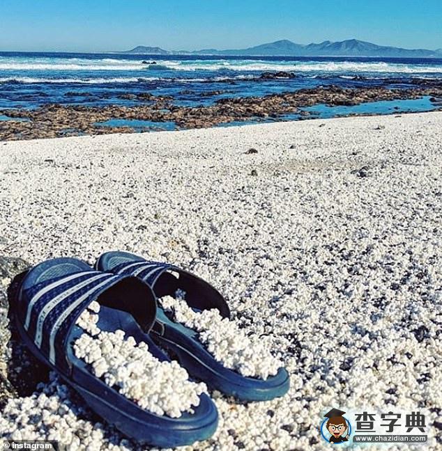 奇觀！西班牙加那利群島一海灘沙礫似爆米花2