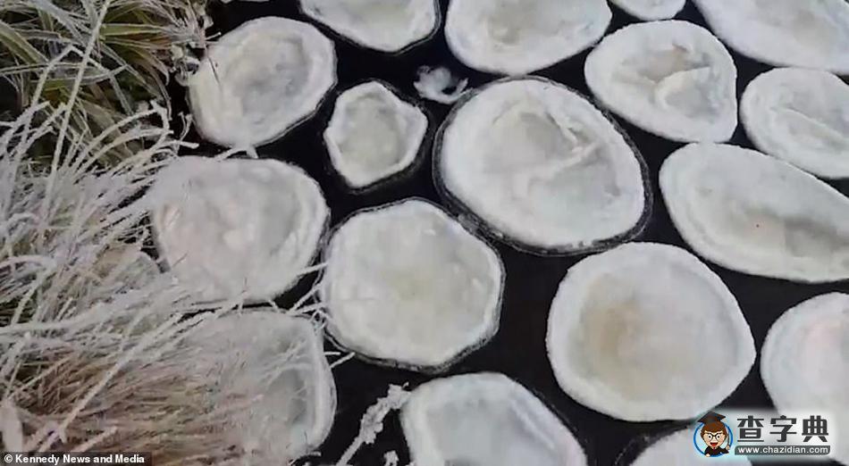 罕見！蘇格蘭河流上出現(xiàn)大量奇特“冰煎餅”鋪滿河面2