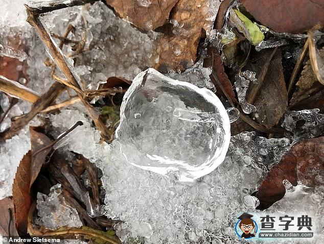 大自然鬼斧神工：美國(guó)極寒天氣現(xiàn)“幽靈蘋(píng)果”奇觀4