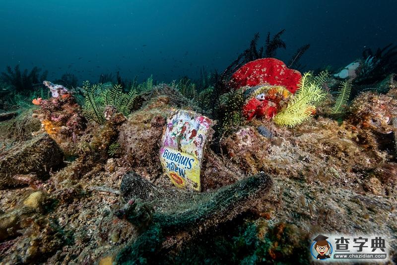 菲律賓塑料垃圾污染嚴(yán)重 生物多樣性中心變致命陷阱3