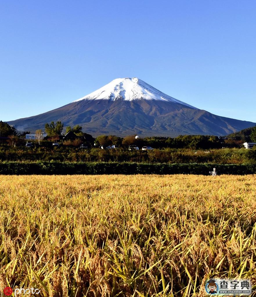 日本富士山觀測到“初冠雪” 銀裝素裹如仙境4
