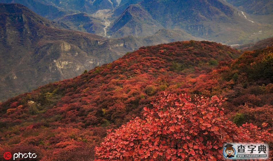 京城秋景漸入佳境 來(lái)感受北京最美的季節(jié)3