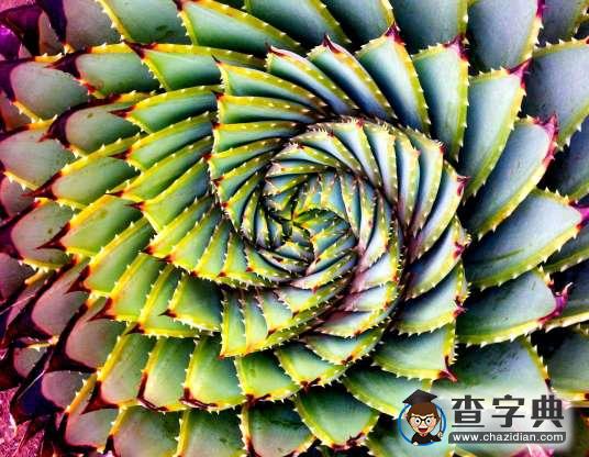 美麗大自然：美國波浪狀砂巖層和太平洋綠松石色暗礁3