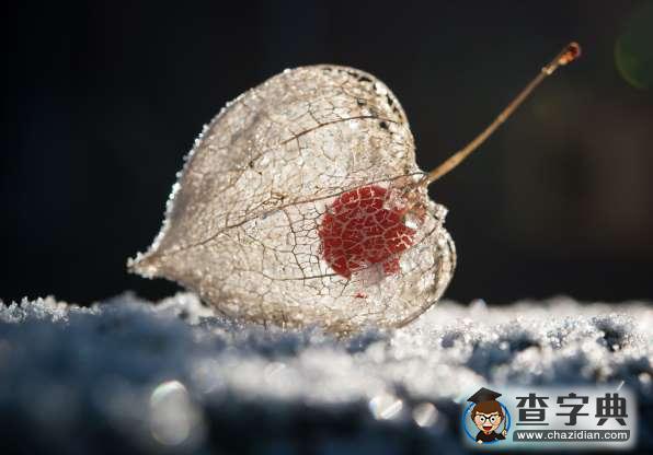 地球上的那些怪異自然現(xiàn)象以及神秘生物6