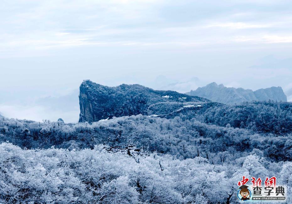 太美了！張家界天門山迎降雪 銀裝素裹云海翻滾2