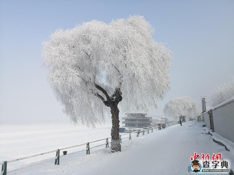 “冰城”哈爾濱現(xiàn)霧凇美景1