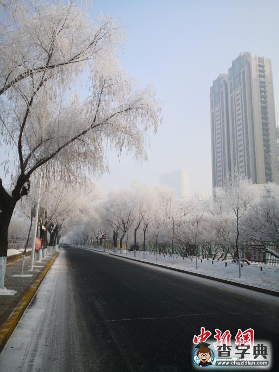 “冰城”哈爾濱現(xiàn)霧凇美景2