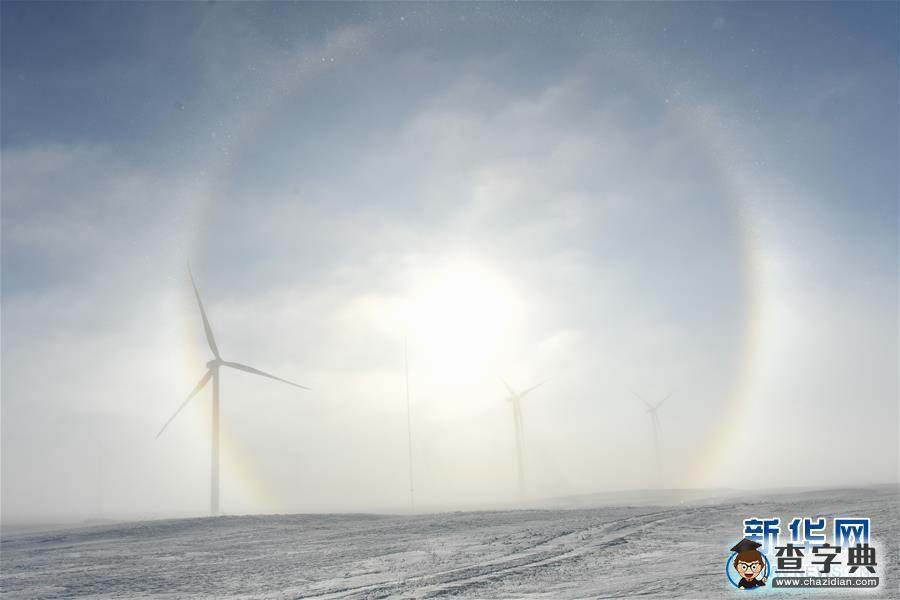 冬日內(nèi)蒙草原白雪皚皚景色壯美：日暈、霧凇、雪原放牧4