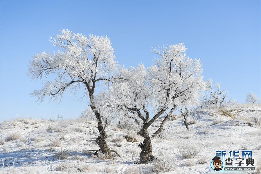 冬日內(nèi)蒙草原白雪皚皚景色壯美：日暈、霧凇、雪原放牧1