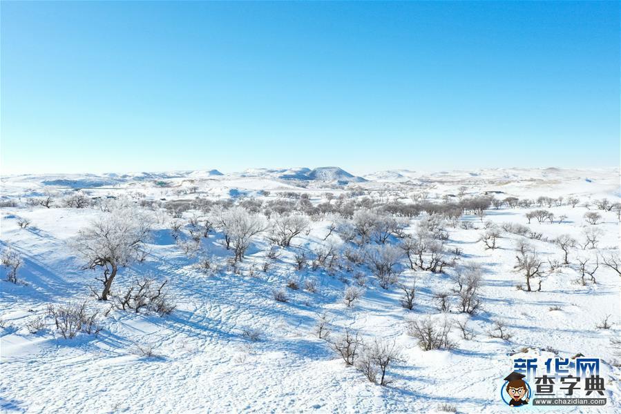 冬日內(nèi)蒙草原白雪皚皚景色壯美：日暈、霧凇、雪原放牧7