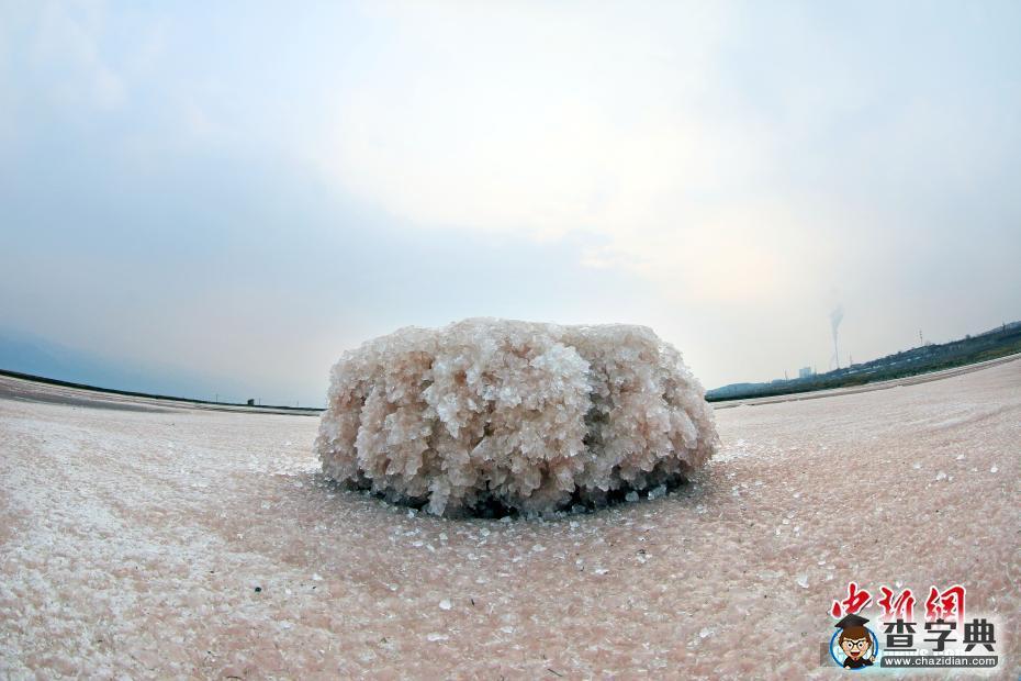 山西運(yùn)城鹽湖低溫開(kāi)“硝花” 晶瑩剔透形態(tài)各異4