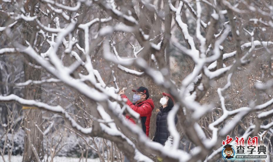 北京迎鼠年首場降雪1