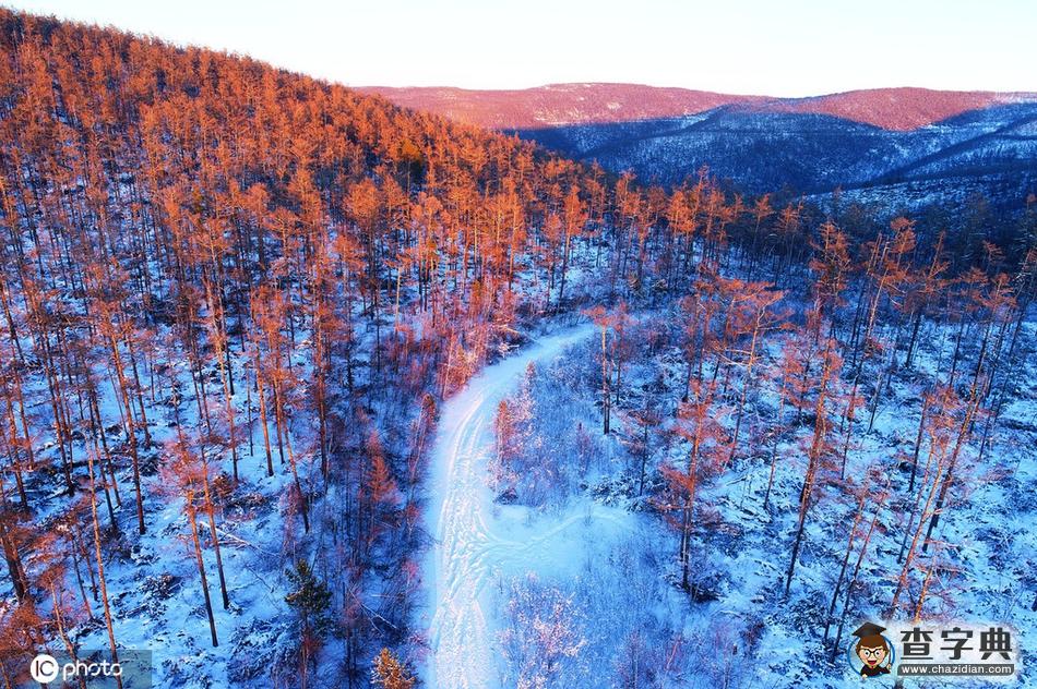 航拍大興安嶺林海雪原雪林暮色1