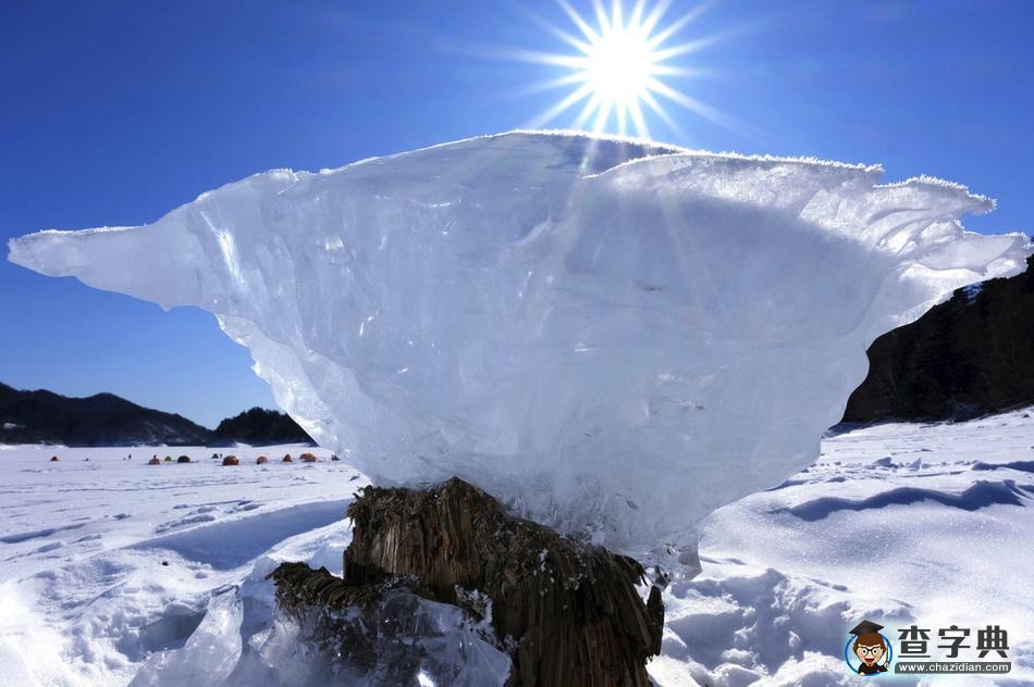 太神奇了！日本北海道出現(xiàn)“蘑菇冰”1