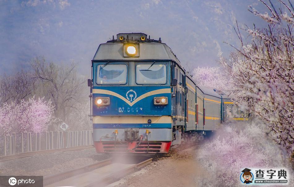 一路繁花相伴 今年這趟開(kāi)往春天的列車還會(huì)遠(yuǎn)嗎？9