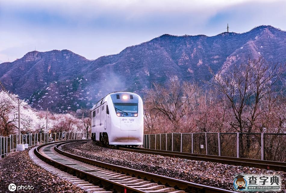一路繁花相伴 今年這趟開(kāi)往春天的列車還會(huì)遠(yuǎn)嗎？4
