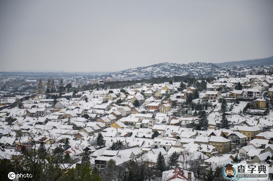 當(dāng)櫻花季遇上飛雪 這景色美哭了！19