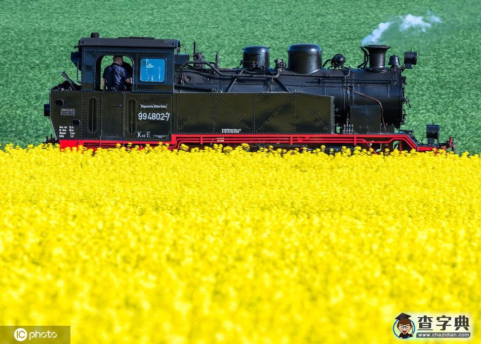 國(guó)外開往春天的列車 穿越最美花海邂逅人間四月天！10