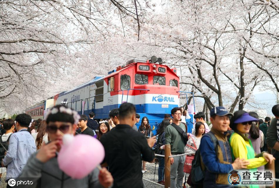國(guó)外開往春天的列車 穿越最美花海邂逅人間四月天！1