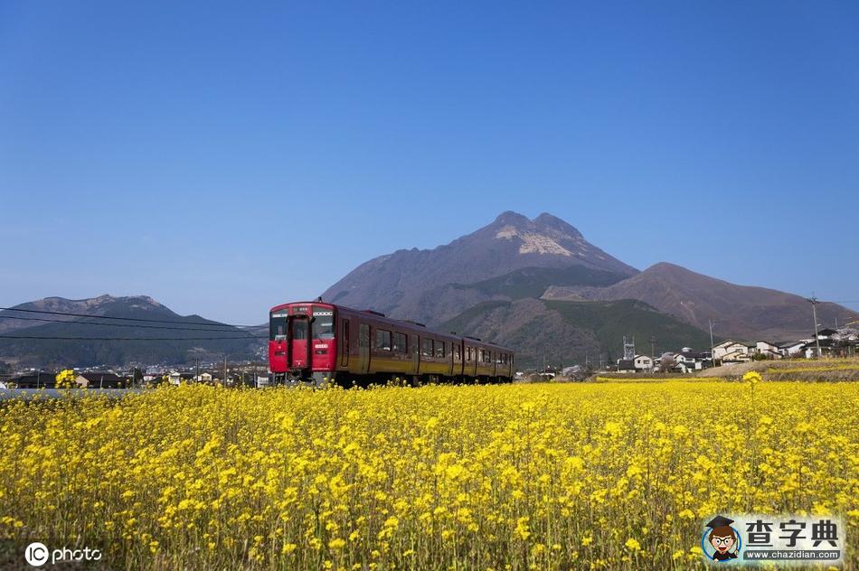 國(guó)外開往春天的列車 穿越最美花海邂逅人間四月天！3