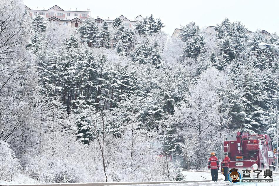 倒春寒？韓國江原道降大雪 白雪皚皚宛如童話世界4