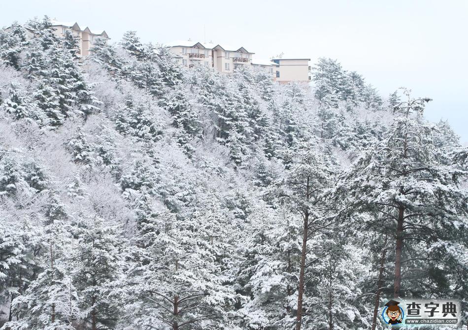 倒春寒？韓國江原道降大雪 白雪皚皚宛如童話世界2