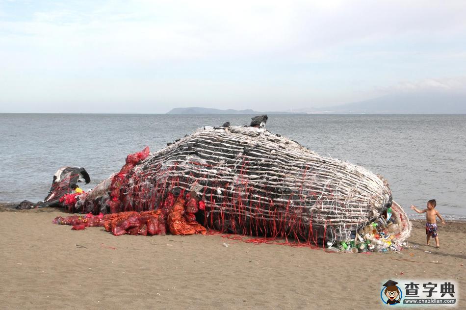 世界地球日化廢棄垃圾為腦洞藝術(shù)：環(huán)保理念銘記于心4